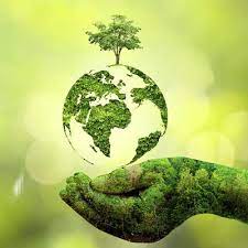 Our Vision - PURE LIFE WELLNESS